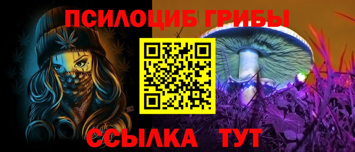 Всеволожск  Псилоцибиновые грибы прущие грибы  Галлюциногенные грибы GOLDEN TEACHER  Вход с VPN 