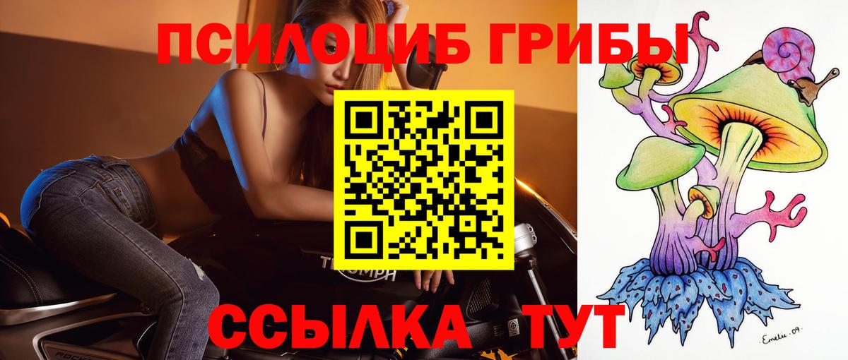 Псилоцибиновые грибы мухоморы Всеволожск